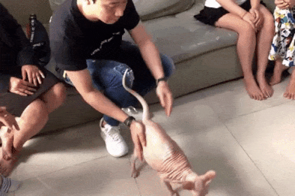 Phút nước sôi lửa bỏng giải quyết chuyện bị loan tin bay lắc nhưng cứ thấy mèo Trấn Thành phải nựng bằng được!