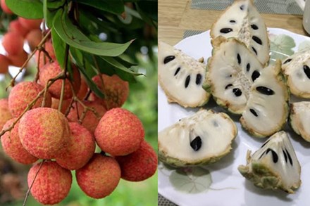 7 loại quả là “đặc sản” của mùa hè và những lưu ý cực quan trọng khi ăn