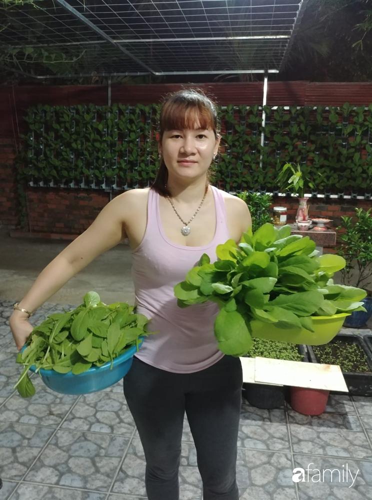 Không có đất trồng rau, mẹ đảm ở Sài Gòn vẫn tạo ra được vườn rau sạch trên tường nhờ tận dụng ống nhựa bỏ đi-3