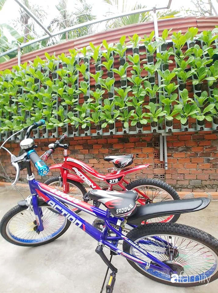 Không có đất trồng rau, mẹ đảm ở Sài Gòn vẫn tạo ra được vườn rau sạch trên tường nhờ tận dụng ống nhựa bỏ đi-14