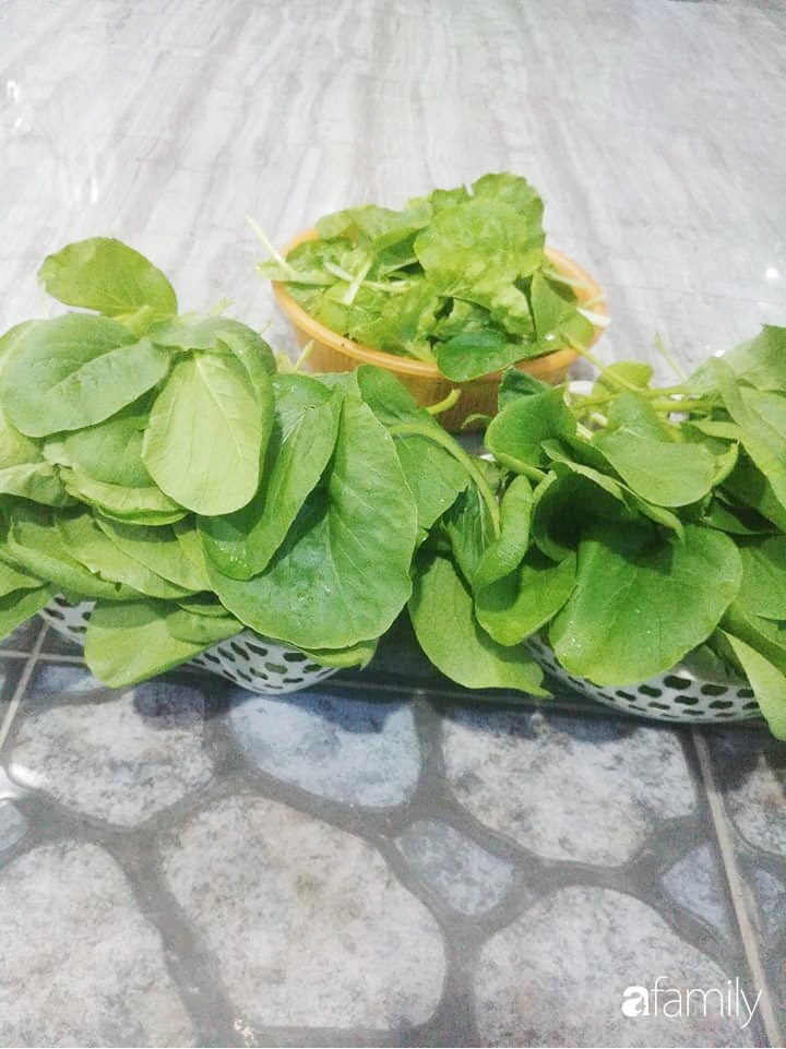 Không có đất trồng rau, mẹ đảm ở Sài Gòn vẫn tạo ra được vườn rau sạch trên tường nhờ tận dụng ống nhựa bỏ đi-15