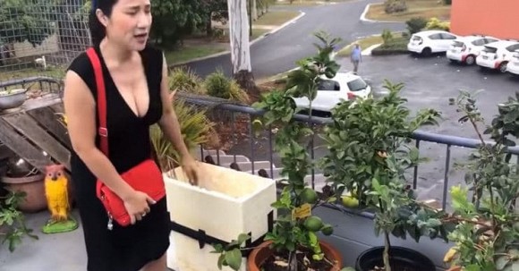 Khám phá cơ ngơi tiền tỷ của Bà mối Cát Tường ở Úc-6