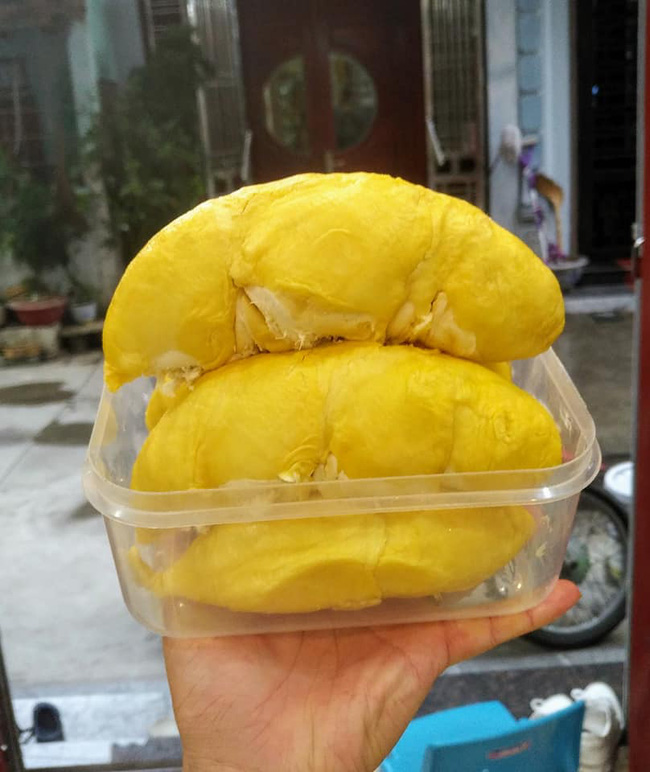 Giám đốc công ty du lịch chia sẻ cách chọn sầu riêng bách phát bách trúng quả nào cũng ngon-1