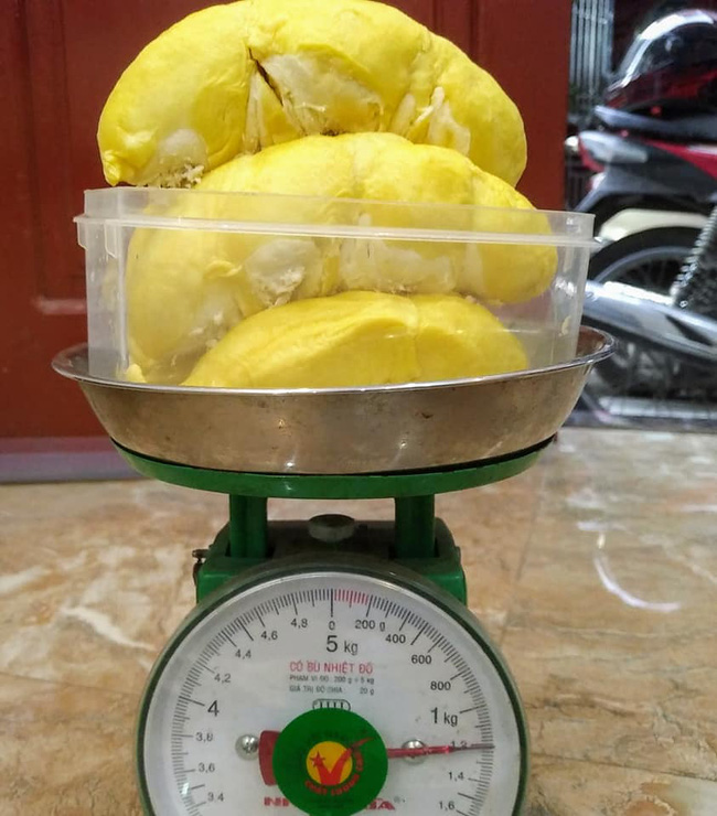 Giám đốc công ty du lịch chia sẻ cách chọn sầu riêng bách phát bách trúng quả nào cũng ngon-2