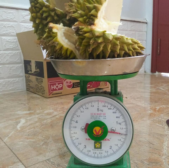 Giám đốc công ty du lịch chia sẻ cách chọn sầu riêng bách phát bách trúng quả nào cũng ngon-3