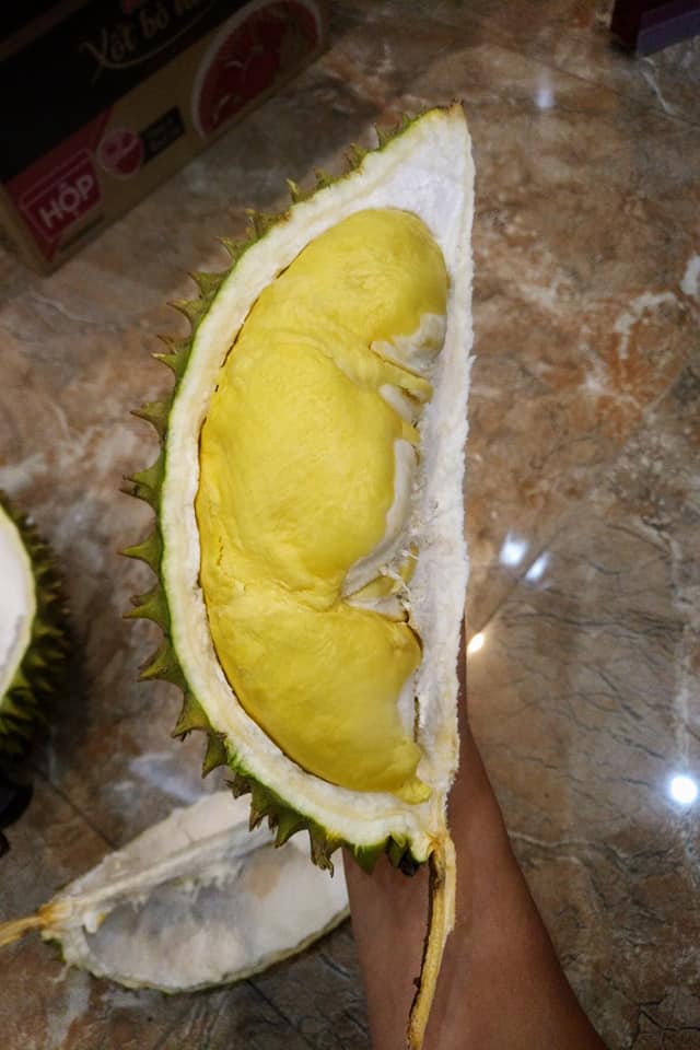 Giám đốc công ty du lịch chia sẻ cách chọn sầu riêng bách phát bách trúng quả nào cũng ngon-4