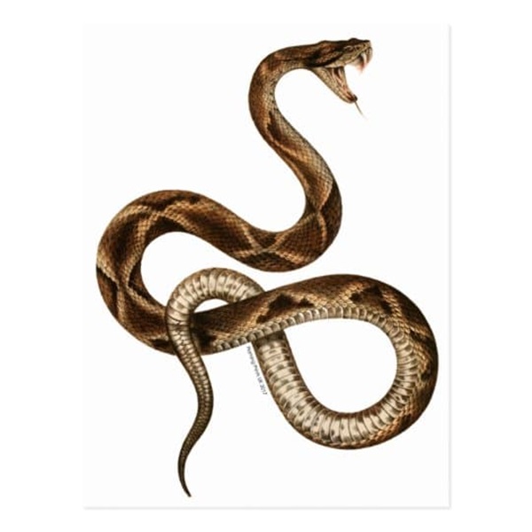 3 con giáp may mắn được quý nhân nâng đỡ, tiền bạc ngập két, vận may đổ về liên tục trong 20 ngày tới-2