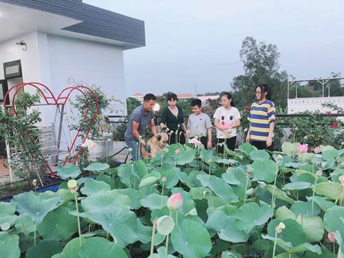 Bố Sài Gòn biến sân thượng thành vườn rau, ăn không hết phải nài nỉ hàng xóm sang lấy về-1