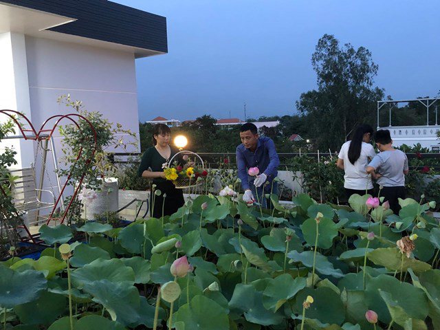 Bố Sài Gòn biến sân thượng thành vườn rau, ăn không hết phải nài nỉ hàng xóm sang lấy về-5