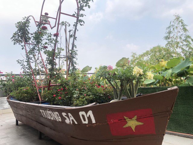 Bố Sài Gòn biến sân thượng thành vườn rau, ăn không hết phải nài nỉ hàng xóm sang lấy về-6