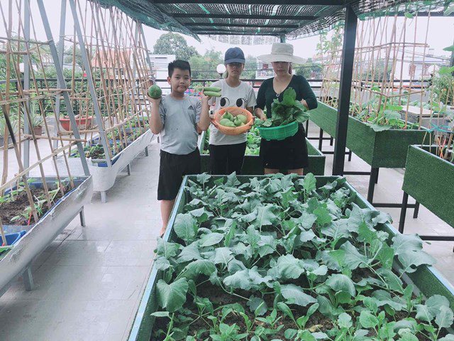 Bố Sài Gòn biến sân thượng thành vườn rau, ăn không hết phải nài nỉ hàng xóm sang lấy về-8