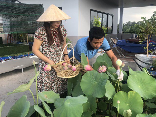 Bố Sài Gòn biến sân thượng thành vườn rau, ăn không hết phải nài nỉ hàng xóm sang lấy về-10