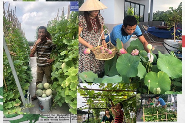 Vườn cây, ao cá đẹp mê trên sân thượng tầng 4 của ông chủ quán phở Sài Gòn-13