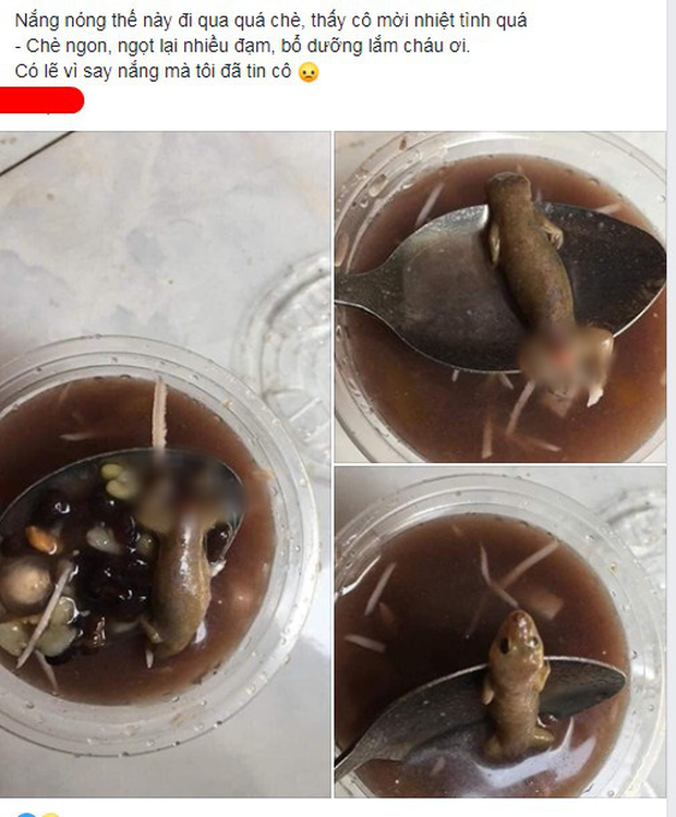 Cô gái hốt hoảng phát hiện nguyên con thạch sùng đứt đuôi bên trong cốc chè, nhìn thôi cũng khiến nhiều người rùng mình-1