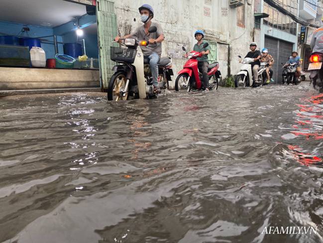 TP.HCM: Mưa lớn khiến đường ngập, cây gãy và kẹt xe, người dân lại khốn khổ lội bì bõm về nhà-1