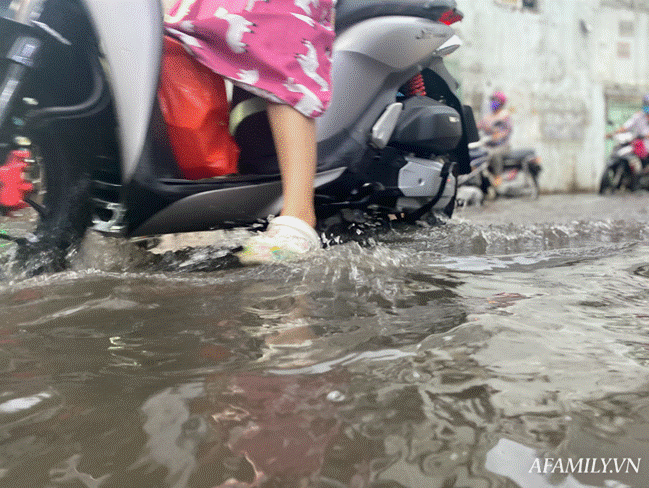 TP.HCM: Mưa lớn khiến đường ngập, cây gãy và kẹt xe, người dân lại khốn khổ lội bì bõm về nhà-4