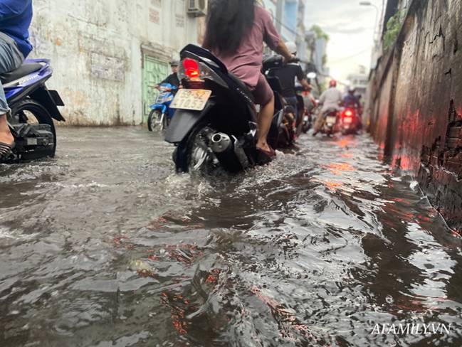 TP.HCM: Mưa lớn khiến đường ngập, cây gãy và kẹt xe, người dân lại khốn khổ lội bì bõm về nhà-6