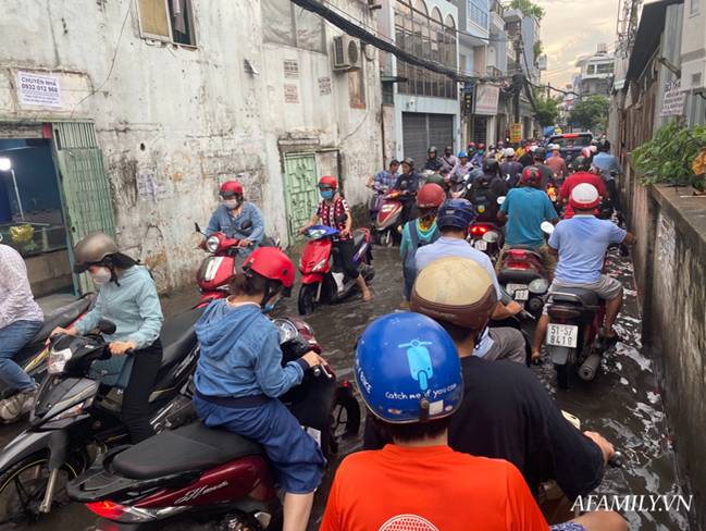 TP.HCM: Mưa lớn khiến đường ngập, cây gãy và kẹt xe, người dân lại khốn khổ lội bì bõm về nhà-7