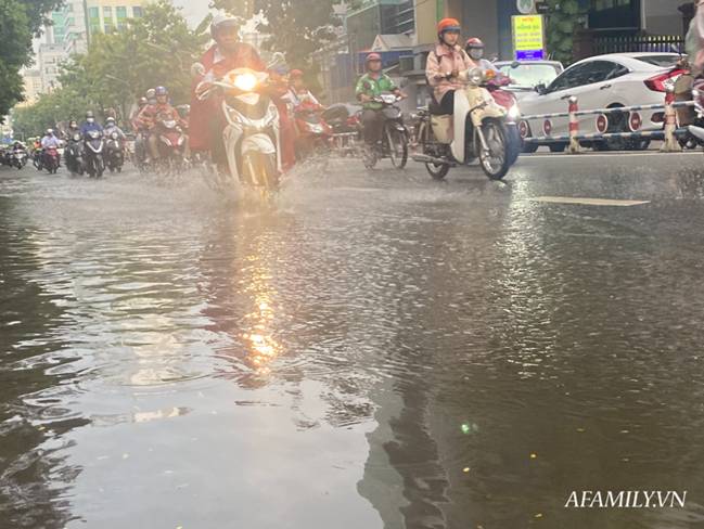 TP.HCM: Mưa lớn khiến đường ngập, cây gãy và kẹt xe, người dân lại khốn khổ lội bì bõm về nhà-9