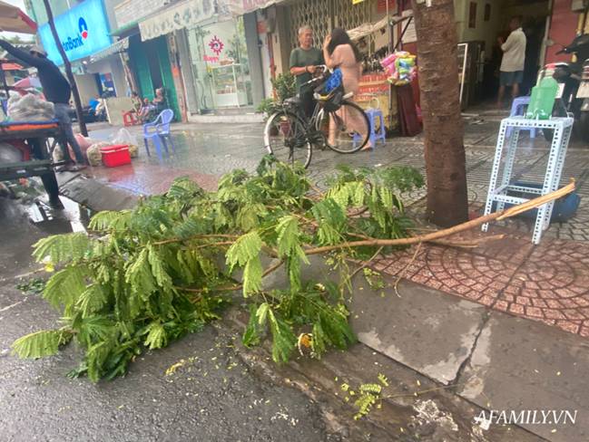 TP.HCM: Mưa lớn khiến đường ngập, cây gãy và kẹt xe, người dân lại khốn khổ lội bì bõm về nhà-10