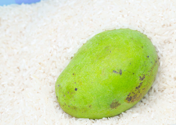 Cho quả xoài vào trong thùng gạo, mẹo hay từ xưa mà chưa chắc chị em thời nay đã biết-1