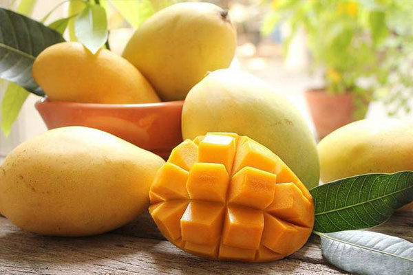 Bỏ thứ này vào, ngâm mộc nhĩ nở tung mà không cần tốn nhiều công sức-3