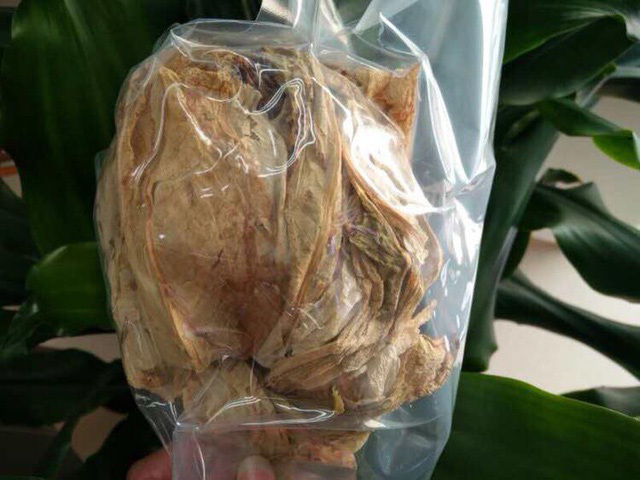 Loài sen 7 năm nở 1 lần, giá 5 triệu/bông được lùng mua-4