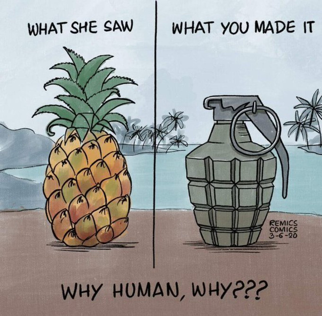 Vụ voi mẹ mang thai chết tức tưởi vì ăn phải dứa nhồi pháo nổ: Những bức tranh tưởng niệm chứa đựng nỗi đau khiến thế giới phải suy ngẫm-2