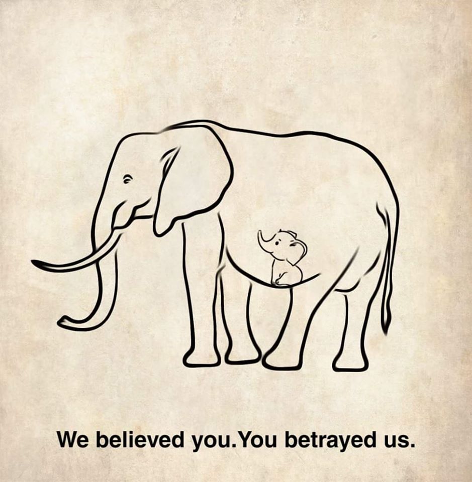 Vụ voi mẹ mang thai chết tức tưởi vì ăn phải dứa nhồi pháo nổ: Những bức tranh tưởng niệm chứa đựng nỗi đau khiến thế giới phải suy ngẫm-11