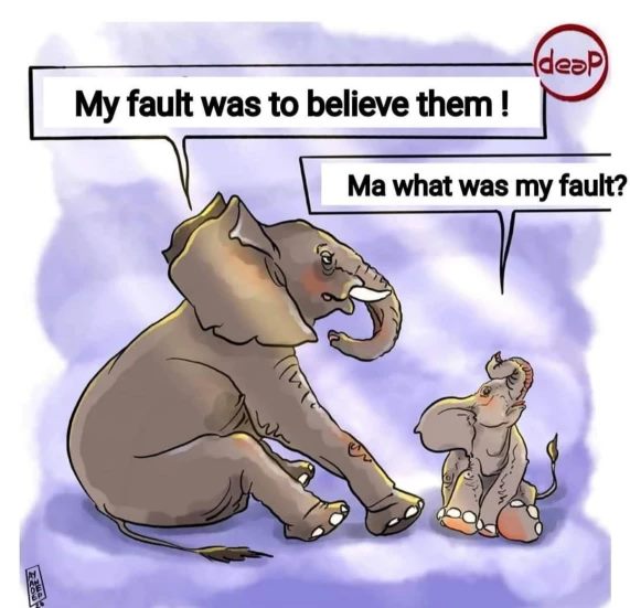 Vụ voi mẹ mang thai chết tức tưởi vì ăn phải dứa nhồi pháo nổ: Những bức tranh tưởng niệm chứa đựng nỗi đau khiến thế giới phải suy ngẫm-7