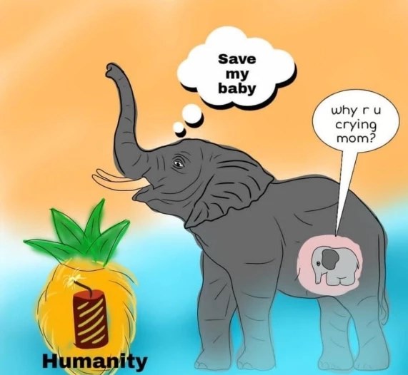 Vụ voi mẹ mang thai chết tức tưởi vì ăn phải dứa nhồi pháo nổ: Những bức tranh tưởng niệm chứa đựng nỗi đau khiến thế giới phải suy ngẫm-9