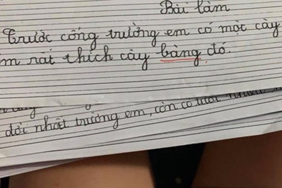 Cười đau bụng với những bài văn tả cây yêu thích của học sinh lớp 1: Hài hước, ngây ngô nhưng bất ngờ nhất là pha tổ lái khó đỡ