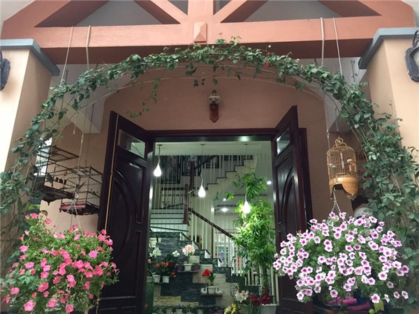 Ngắm ngôi nhà ở quê của ca sĩ Bích Phương, ngập tràn sắc hoa lung linh-3