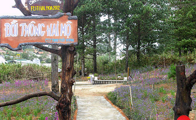 Câu chuyện tình yêu ly kì đằng sau bài hát Đồi thông hai mộ mà ít người biết đến-1