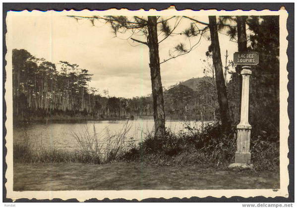 Câu chuyện tình yêu ly kì đằng sau bài hát Đồi thông hai mộ mà ít người biết đến-2