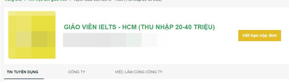 Bão phốt liên hoàn khắp các trung tâm luyện IELTS nổi tiếng: Dịch vụ hái ra tiền, nhưng không khắt khe trình độ người giảng dạy?-4