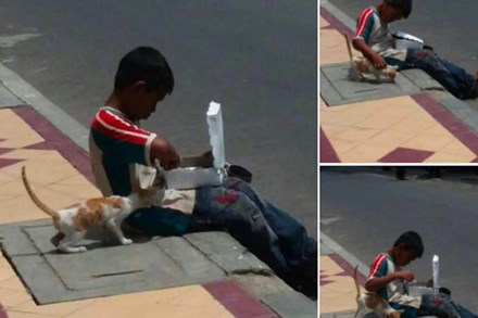 Cậu bé lem luốc ngồi bệt trên vỉa hè giữa trời nắng, tay bốc thức ăn nhưng lại có hành động cực đặc biệt với chú mèo lạ khiến bao người xúc động