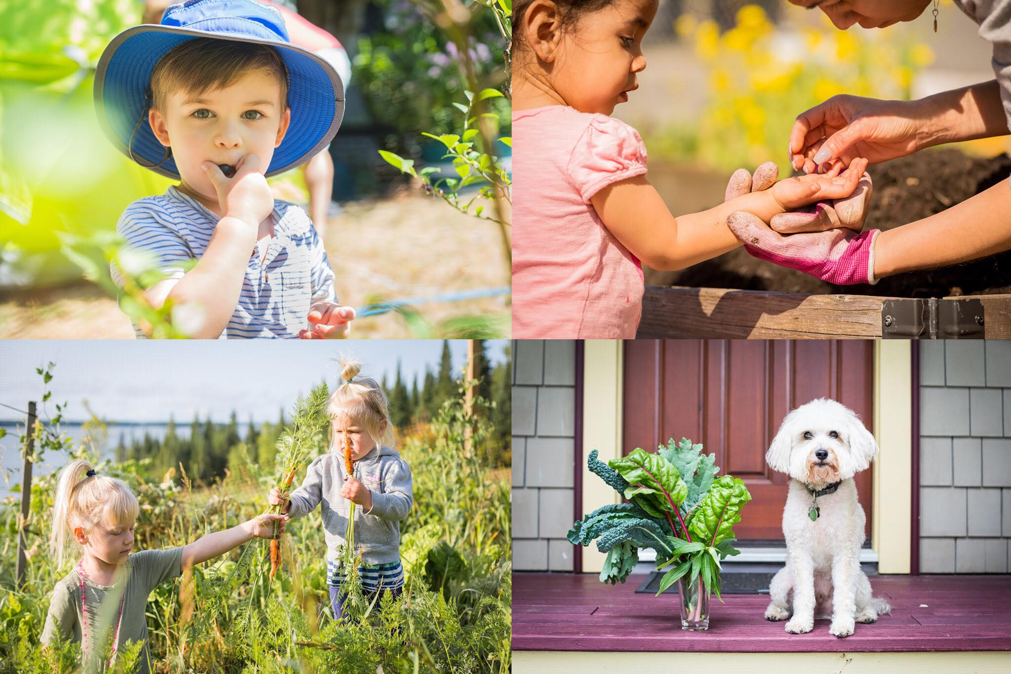 Cô gái xinh đẹp luôn tràn ngập năng lượng hạnh phúc khi trồng cả khu vườn toàn rau quả sạch-14