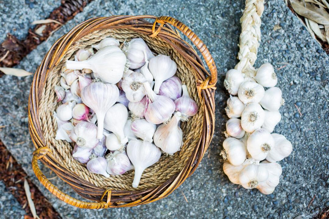 Cô gái xinh đẹp luôn tràn ngập năng lượng hạnh phúc khi trồng cả khu vườn toàn rau quả sạch-25