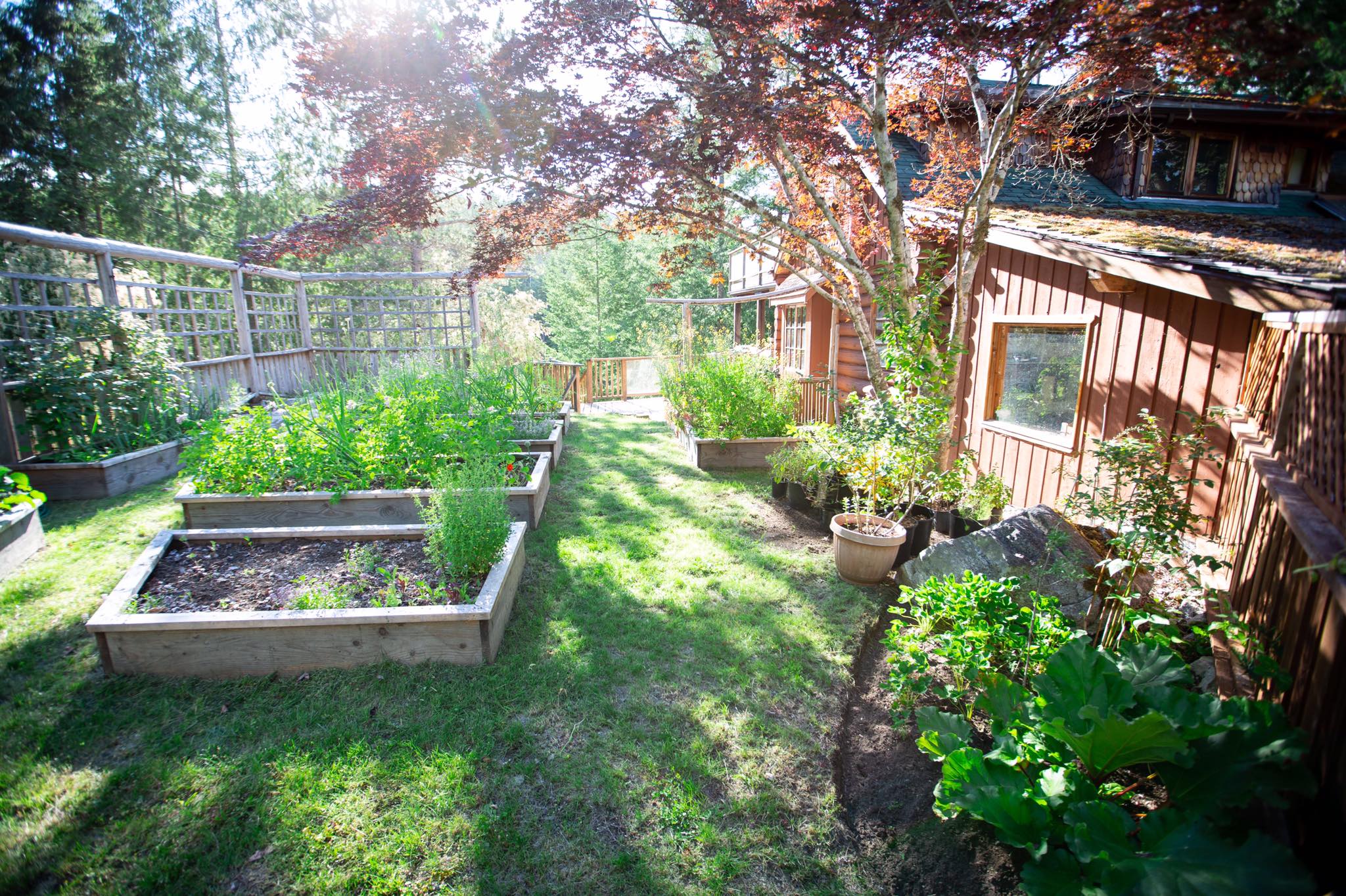 Cô gái xinh đẹp luôn tràn ngập năng lượng hạnh phúc khi trồng cả khu vườn toàn rau quả sạch-18