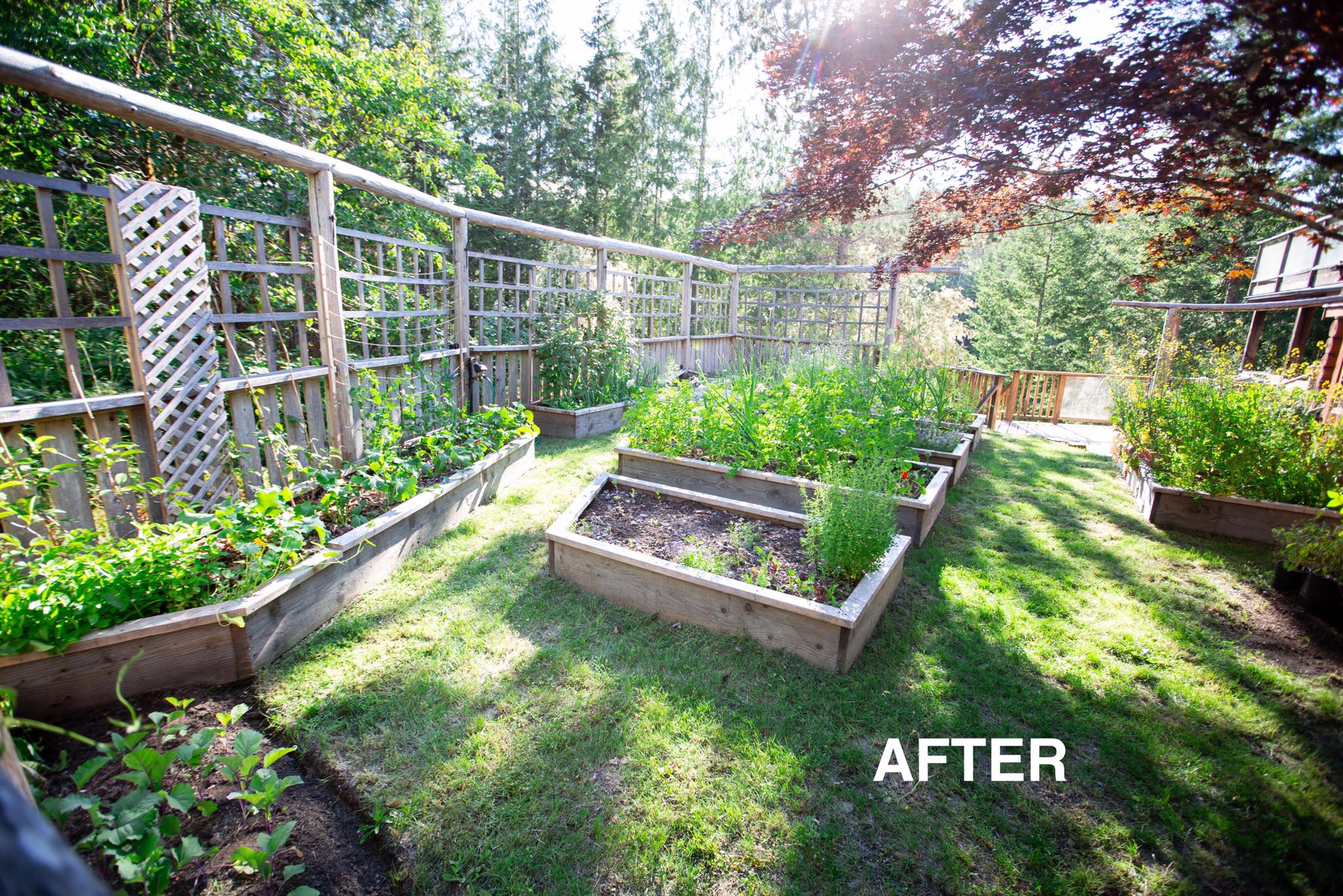 Cô gái xinh đẹp luôn tràn ngập năng lượng hạnh phúc khi trồng cả khu vườn toàn rau quả sạch-27