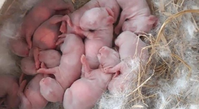 Vốn 20 triệu, thu nửa tỷ mỗi năm... khởi nghiệp như mơ của trai 9x-3