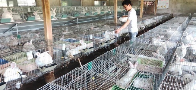 Vốn 20 triệu, thu nửa tỷ mỗi năm... khởi nghiệp như mơ của trai 9x-4