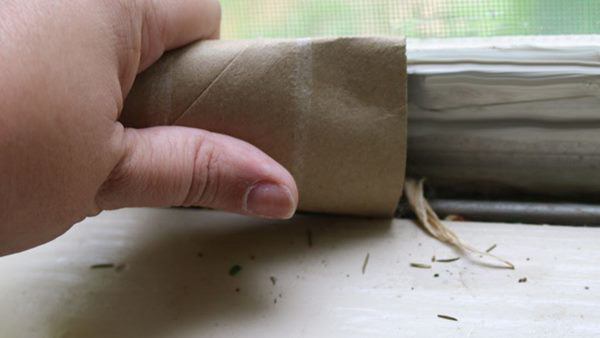 Giấy vệ sinh dùng hết nhớ giữ lại lõi, làm theo cách này đáng giá hơn tiền triệu-5