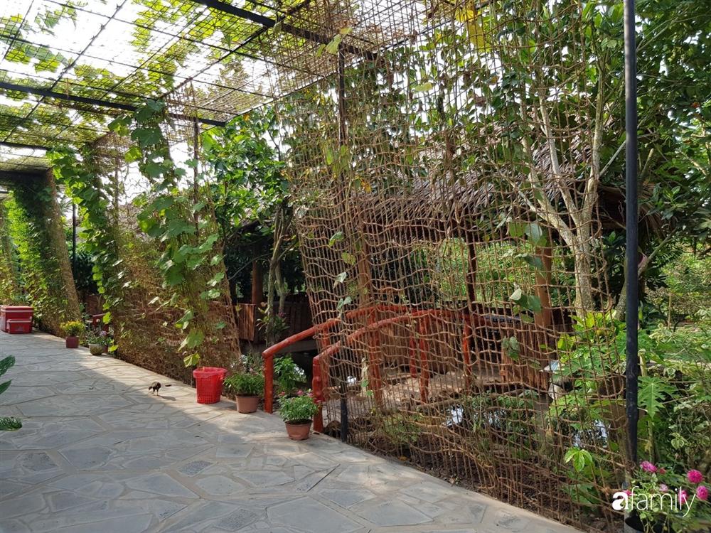 Ngôi nhà làm từ 4000 trái dừa có chi phí xây dựng lên đến 6 tỷ ở Vĩnh Long và tâm nguyện của chủ nhà khiến ai cũng bất ngờ-6