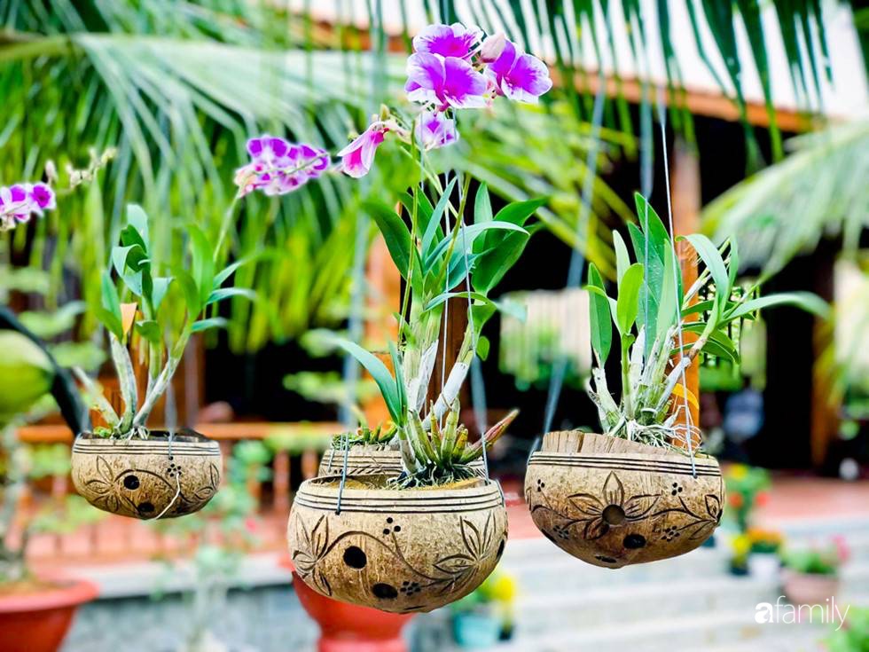 Ngôi nhà làm từ 4000 trái dừa có chi phí xây dựng lên đến 6 tỷ ở Vĩnh Long và tâm nguyện của chủ nhà khiến ai cũng bất ngờ-24