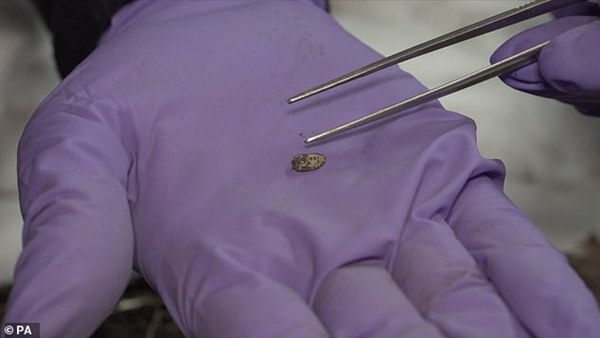 Đưa xác ướp 3.000 năm tuổi của công chúa Ai Cập ra khỏi quan tài, phát hiện bức chân dung bí ẩn cùng hàng loạt câu hỏi chưa có lời giải đáp-4