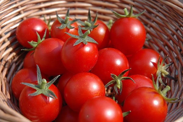 Cách bảo quản cà chua chuẩn nhất, tha hồ để mà không lo thối hỏng-1