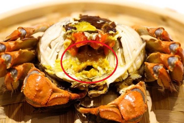 Ăn hải sản mấy chục năm ai nghĩ đơn giản PHẦN MÀU VÀNG trong con cua biển là GẠCH đều sai hết rồi nhé!-1