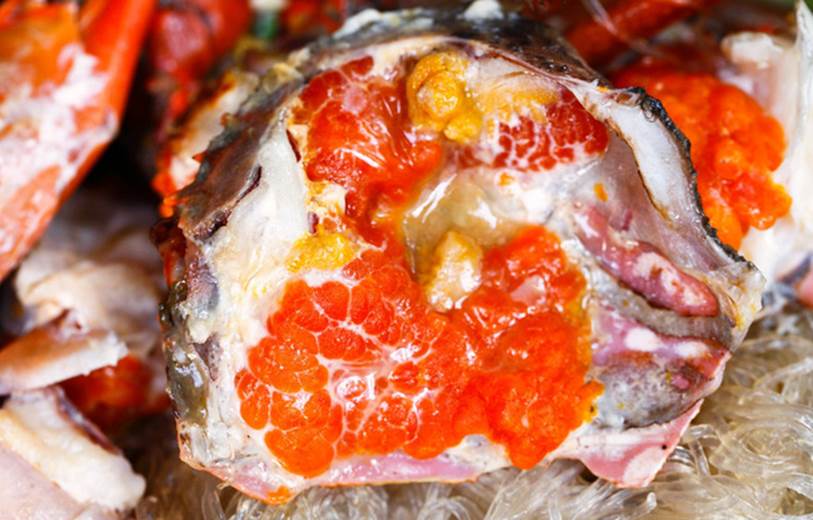 Ăn hải sản mấy chục năm ai nghĩ đơn giản PHẦN MÀU VÀNG trong con cua biển là GẠCH đều sai hết rồi nhé!-3